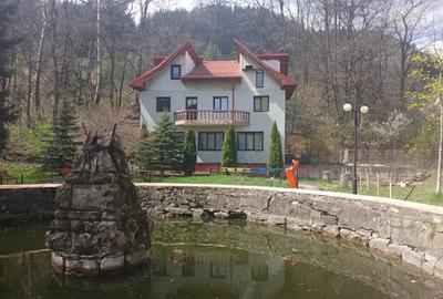 Vand casa P+1+mansarda - 4