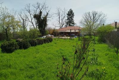 Casă individuală cu 5 camere cu Teren 1450 Mp în Goleasca - 5
