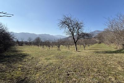 Spațiu comercial, în Central - 2