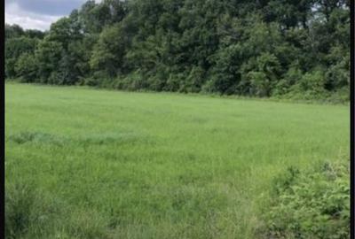 Spațiu comercial, în Coceana - 1