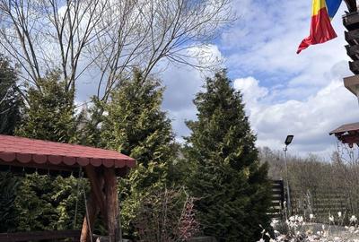 Casă cu 3 camere cu Teren 400 Mp în Bran - 18