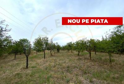 Teren intravilan 1.765 mp in Poiana Lacului, AG - 2