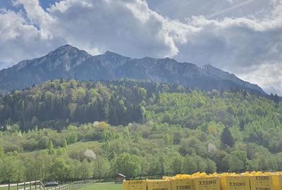 Spațiu comercial, în Plaiul Foii - 7