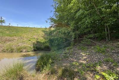 Teren agricol intravilan de 55600 mp, în Codru Butesii - 13