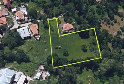 Teren intravilan, 2476 mp in cadru natural, regim P+1E+M | COMARNIC - 7