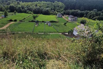 Teren de 1550 mp, în Săvădisla - 6