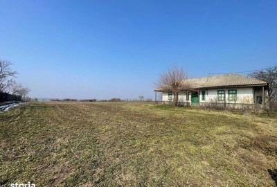 Teren de 3802 mp, în Dăeni