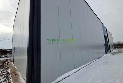 Hala depozitare -  Cernica  Theodor Pallady - 8