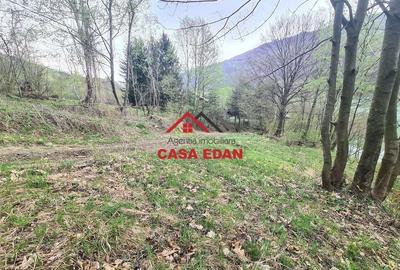 Teren de 1000 mp, în Teșila - 13