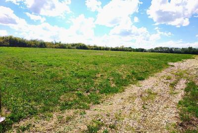 Teren de 6200 mp, în Ardud - 16