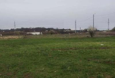 Teren de 1667 mp, în Cernica - 2