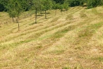 Casă locuibilă + teren 8900 mp, utilități, anexă, livadă-toate actele. - 5