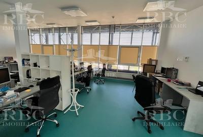 Spatii de birouri 200-400-550 mp pe Calea Turzii - 13