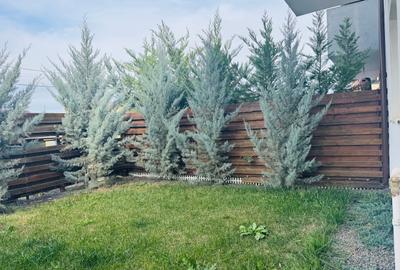 COMISION 0% | 2 camere + 28 mp terasa + 4 locuri de parcare | Braytim - 29