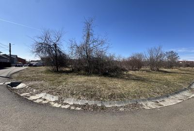 Teren Construcții intravilan de 9685 mp, în Păulești - 11