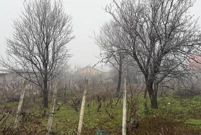 Casă cu 3 camere în Săhăteni - 3