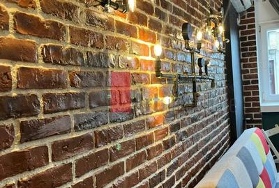 STUDIO - MOSILOR CU BULEVARD CAROL - 3