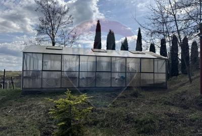 Casa cu teren 4800 mp si multiple posibilitati in Tureni - 12