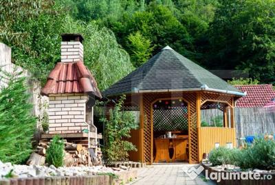Casă cu 6 camere cu Teren 551 Mp în Teiu - 3