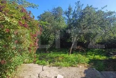 Casa renovabila, 2 camere, zona Cetate - 2