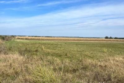 Teren de 2480 mp, în Rădăuți - 3