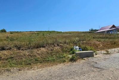 Teren de 2340 mp, în Miroslava - 5