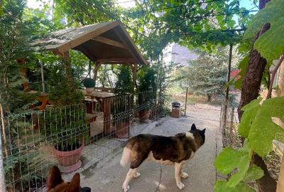 Casă individuală cu 3 camere cu Teren 320 Mp în Girocului - 8