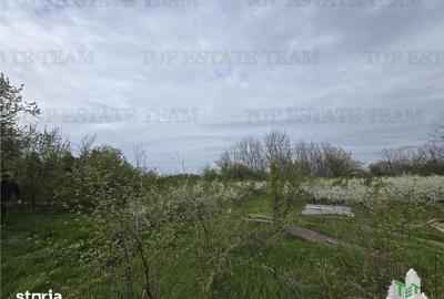 Teren de 2325 mp, în Joița - 5
