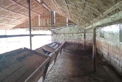 Spațiu comercial, de 317 mp, în Nădlac - 4