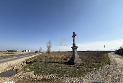 Spațiu comercial, în Băbășești - 7