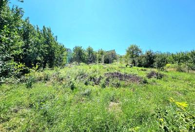 Teren Construcții intravilan de 950 mp, în Borhanci