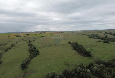 Teren de vanzare, 65 hectare - Agnita - 6