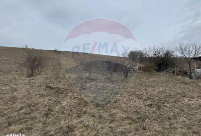 Spațiu comercial, în Sălicea - 10