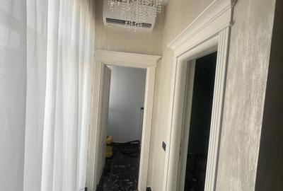 2CD cu terasa , Zimbru - Pasarela Octav Bancila , bloc nou intabulat , CREDIT - 11