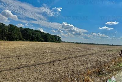 Teren de 17235 mp, în Frumușani - 1