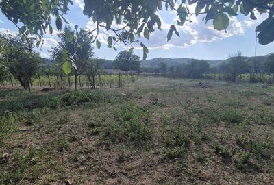 Casă cu 3 camere în Hamcearca - 5