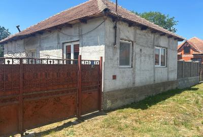 Casă cu 2 camere în Cheșa - 1