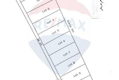 Teren Agricol, Intravilan vanzare, in Bucuresti Ilfov, Olteni - 4