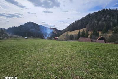Teren de 53159 mp, în Fundu Moldovei - 5