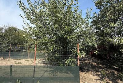 Casă cu 3 camere cu Teren 1797 Mp în Iecea Mică - 7