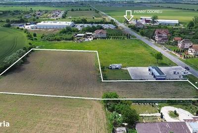 Spațiu comercial, în Odoreu - 6