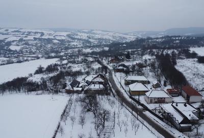 Casa cu Anexe, Gradina + 2Ha Terenuri - 8