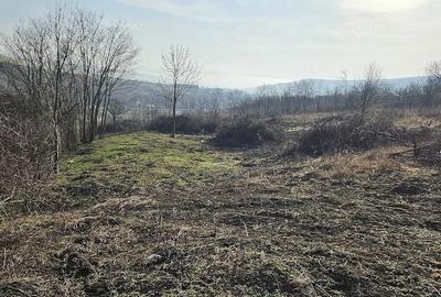 Teren de 3600 mp, în Lipovăț