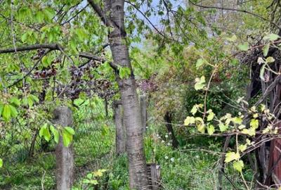 Casa individuala, zona centrala-E85,Siret - 4