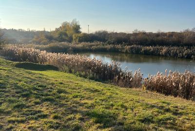 Townhouse - 5 camere - vanzare - Avalon Estate - Pipera - 2