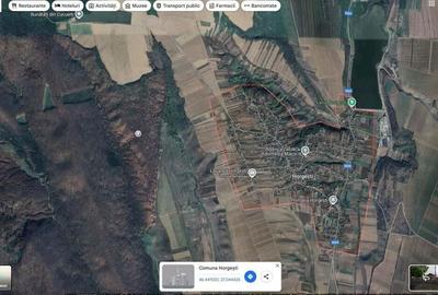 Teren extravilan padure, cota parte de 1/48 Horgesti, ID: R2325836 - 2