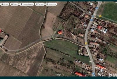 Teren de 3300 mp, în Zorești - 4