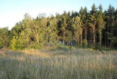 Oportunitate de Investitie – Teren Intravilan 5.700 mp, Chinteni - 3