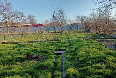 Casă cu 4 camere cu Teren 741 Mp în Central - 6