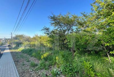 Teren intravilan ,cu vegetatie, 2700 mp, zona Siret - 11